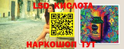индика Дубна
