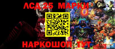 индика Дубна