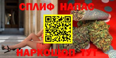индика Дубна