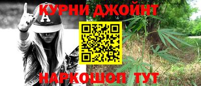индика Дубна